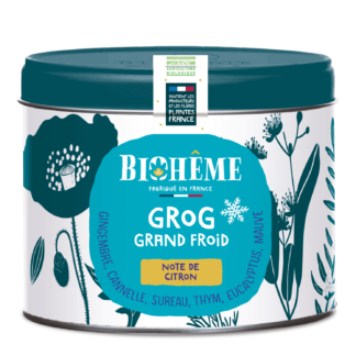 Infusion Grog grand froid