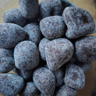 Cubes de gingembre confit enrobés de chocolat