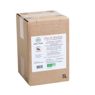 Sève de bouleau lactofermentée - 5 litres